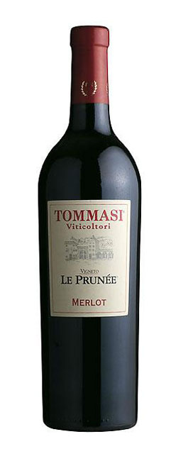 Main product image for Tommasi Le Prunee Merlot 12,5% 75cl.