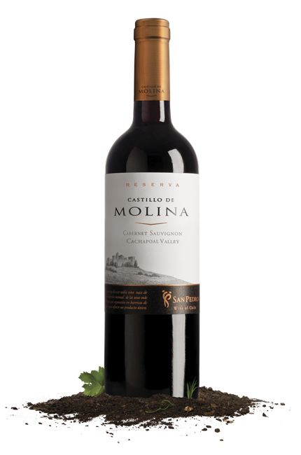 Molina Cab. Sauvignon 14% 75 cl.