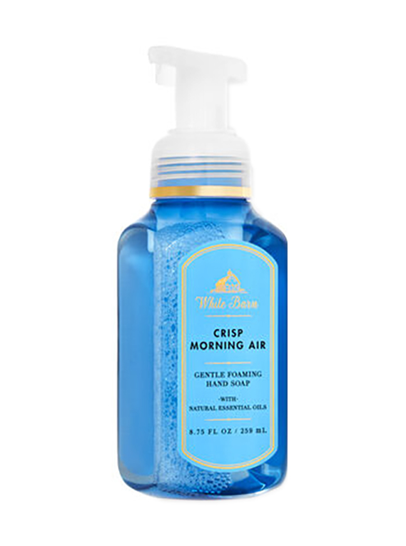 Main product image for Crisp Morning Air Foam Soap