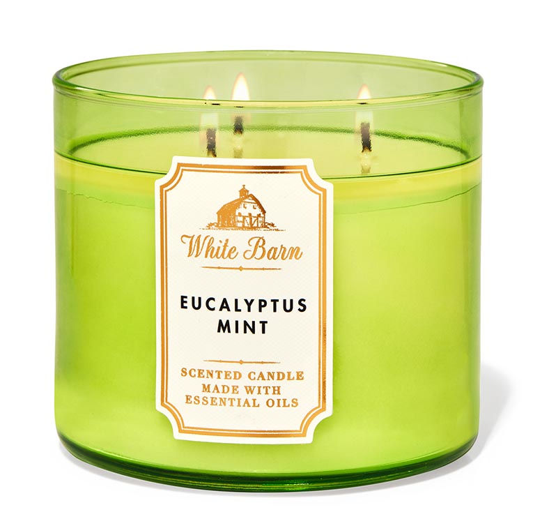 Main product image for Eucalyptus Mint Large Candle