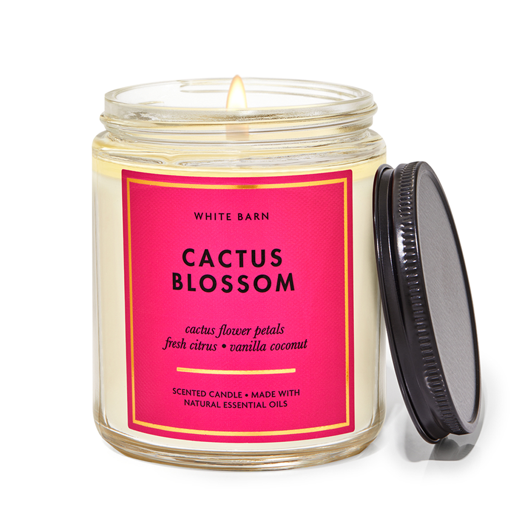 Main product image for Cactus Blossom Single Wick Candle