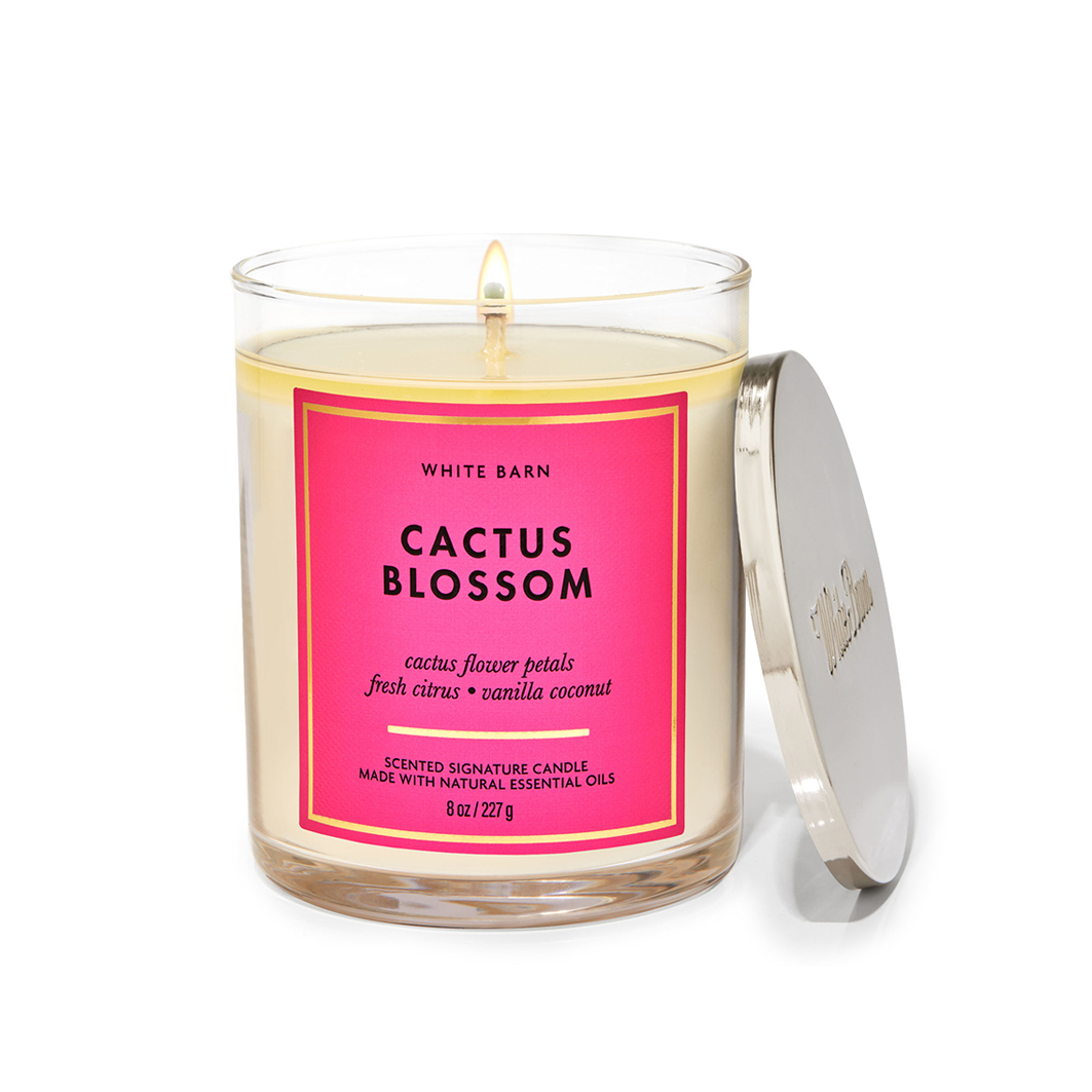 Cactus Blossom Tumbler Single Wick Candle
